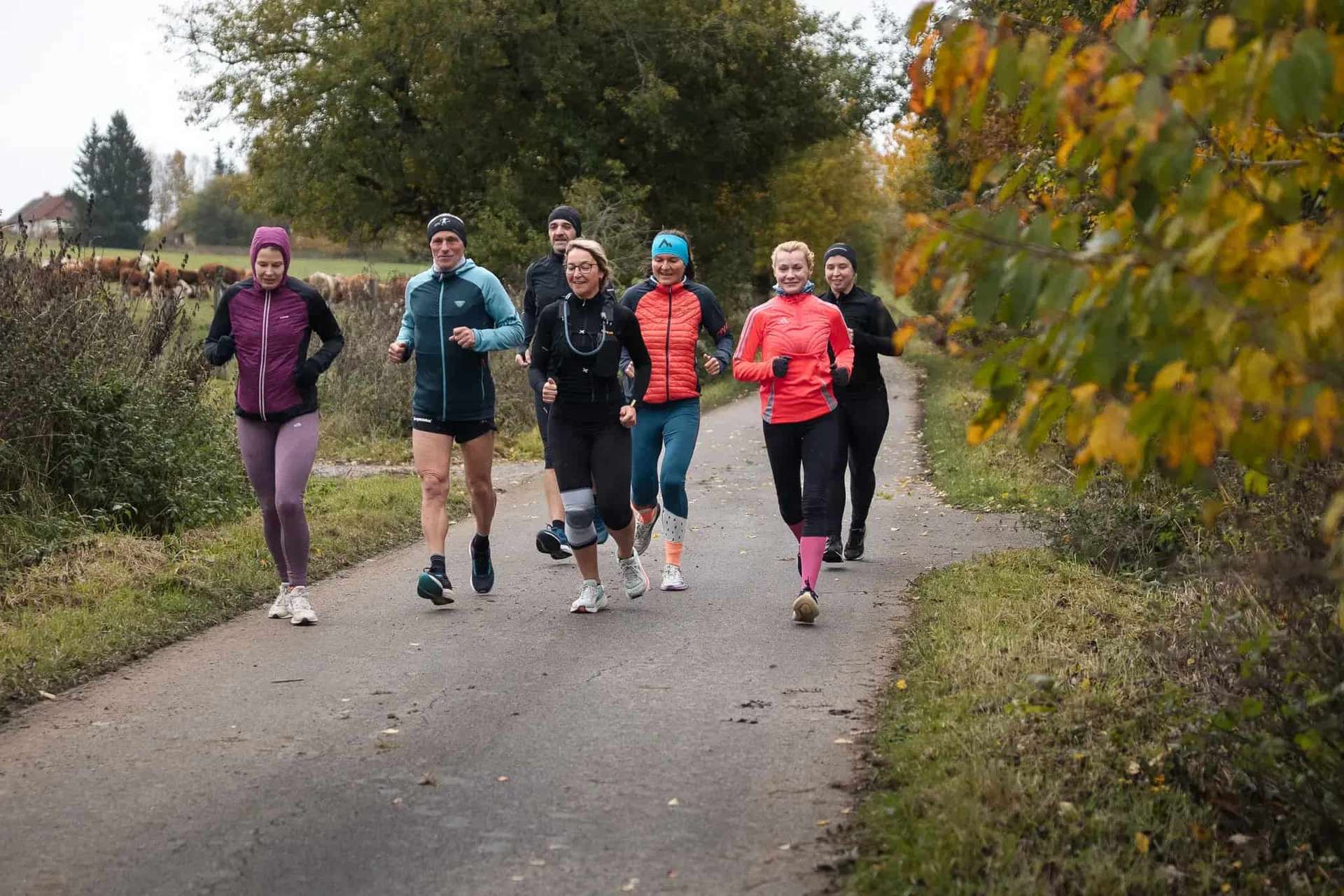 Běžecká škola Miloše Škorpila - obrázek služby Workshop zdravý životní styl
