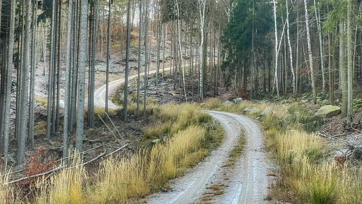 Správně nastavená laťka aneb cíl si stanov jen takový, na jaký skutečně máš!