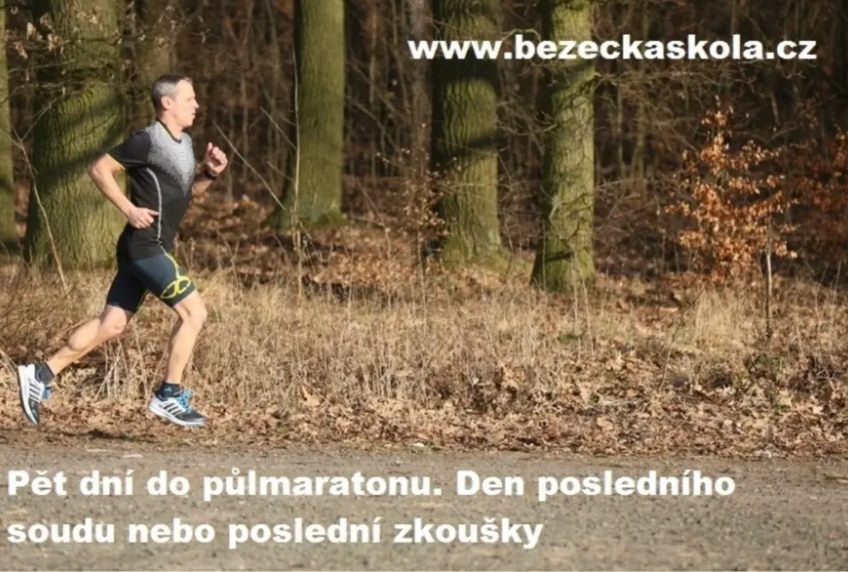 Půlmaraton se běží za pět dní. Dejte si dnes malý test a pak už nic nezkoušejte
