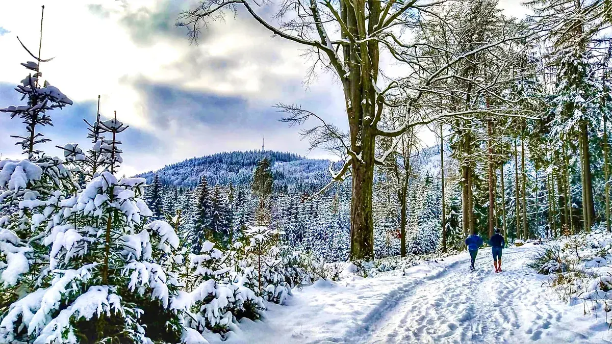 Specifika běžeckého tréninku v zimě