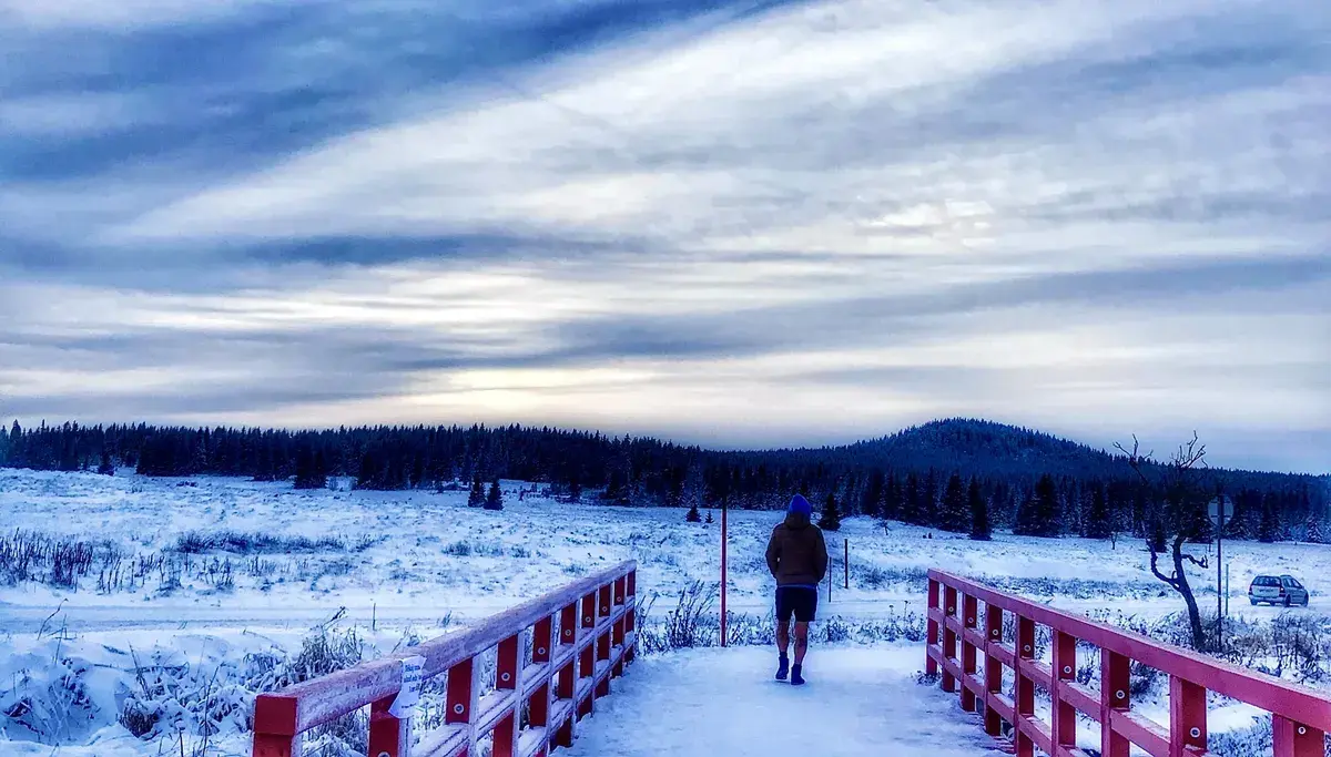 Jak se dostat po Vánocích a Silvestru zpět do formy