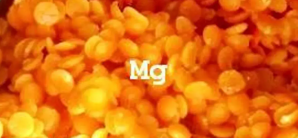 Hořčík neboli magnesium, zapalovač více než 300 pochodů v lidském těle
