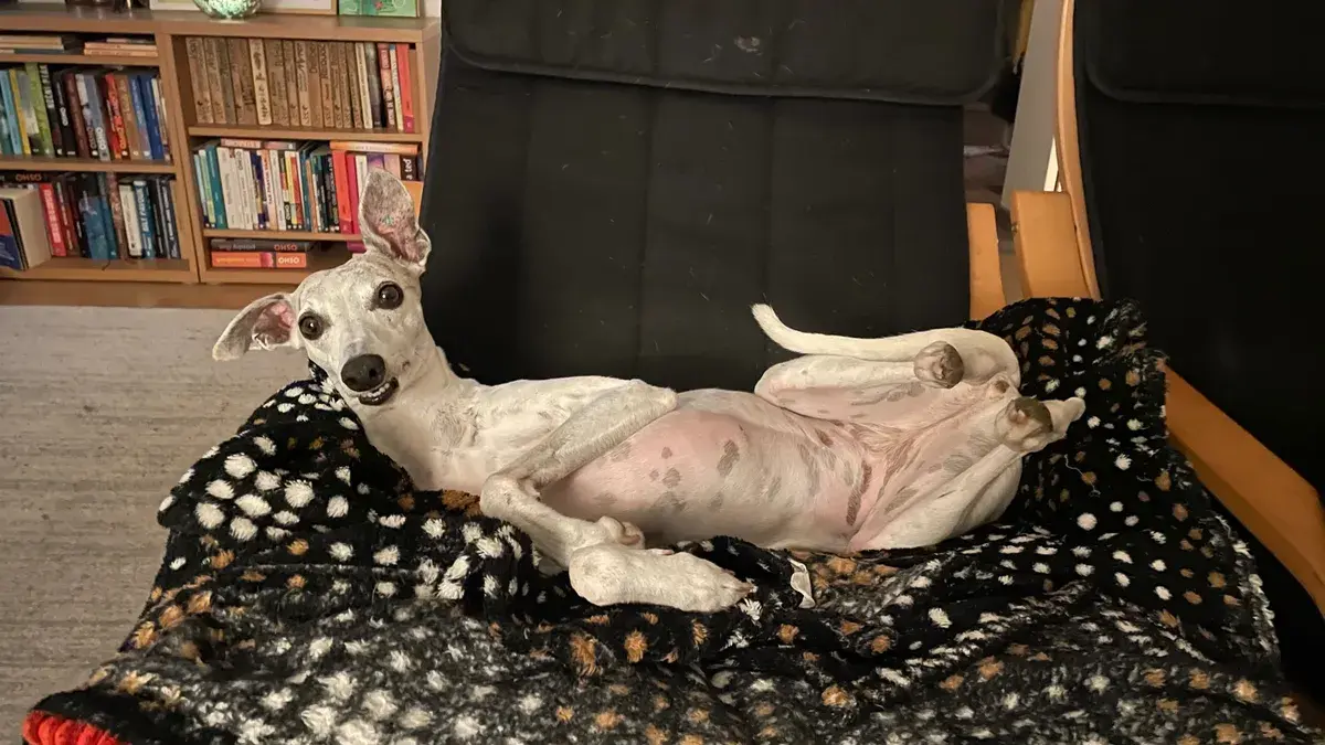 Spánek, nejlepší a nejlevnější regenerace jakou si člověk může dopřát