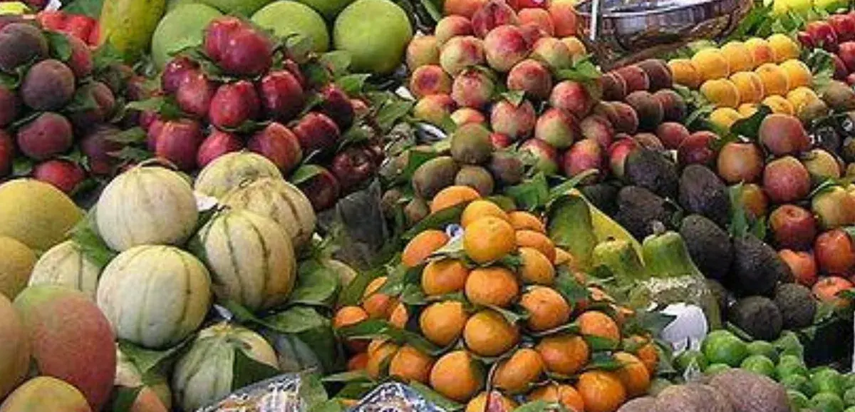 Vitamíny a minerály v životě člověka, v životě běžce