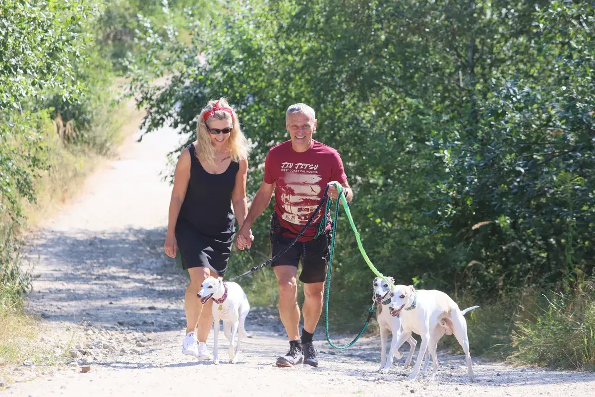 Pohyb, lék na moderní dobu
