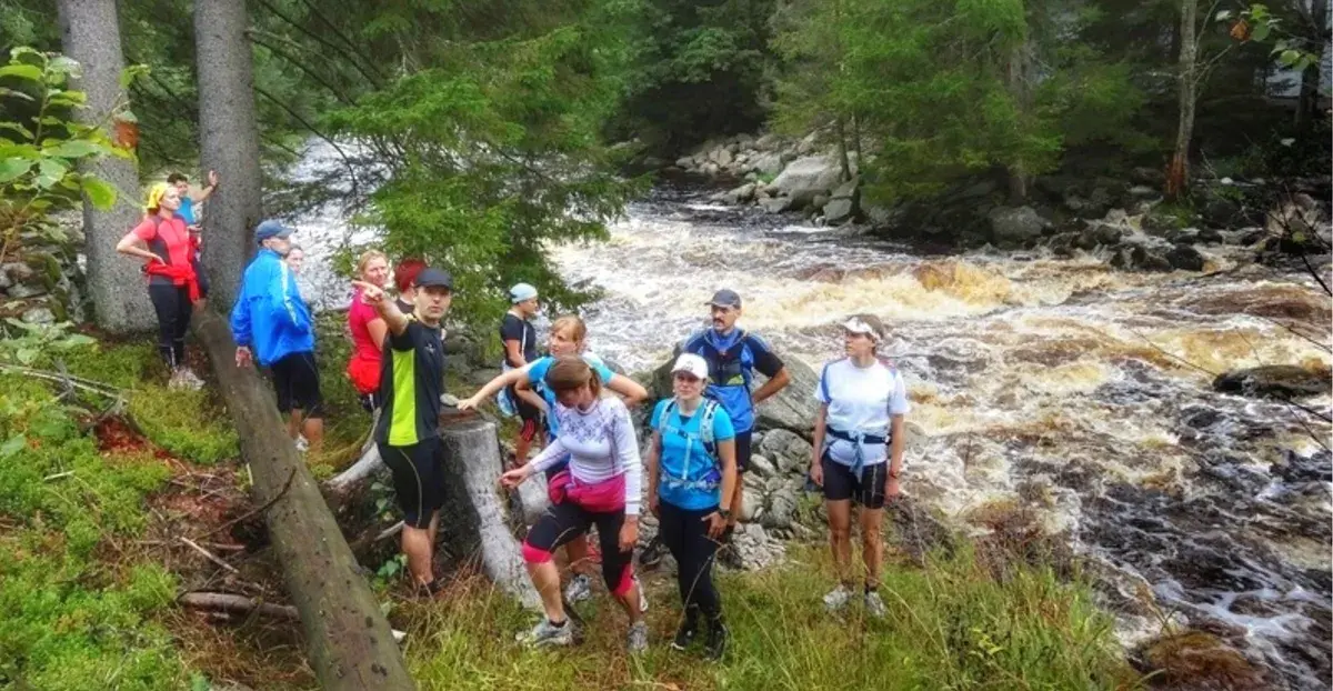 Je pro začátečníka zdravější běhat po měkkých cestách nebo po asfaltu