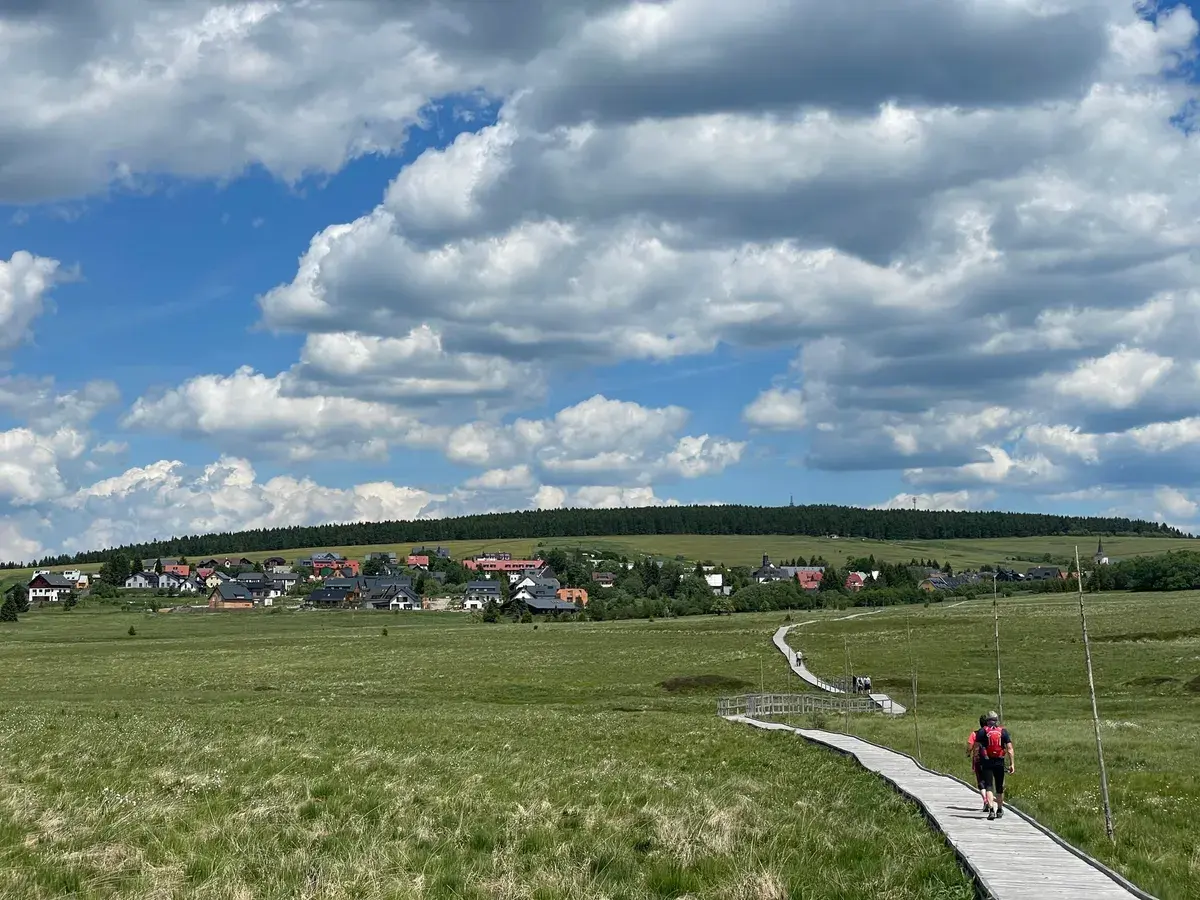 Pohyb je základní projev života, kde není pohyb život skomírá