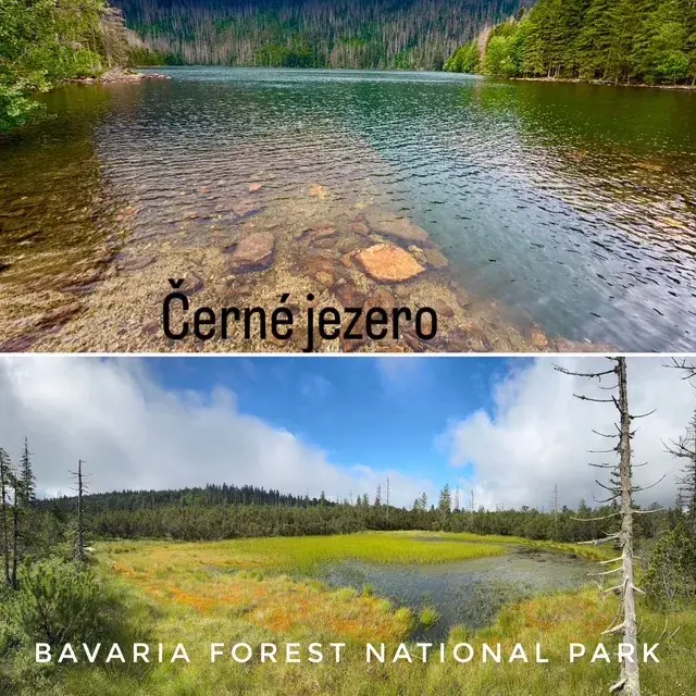 Bavorský les Šumava, stěžovat si můžeme leda tak sami na sebe
