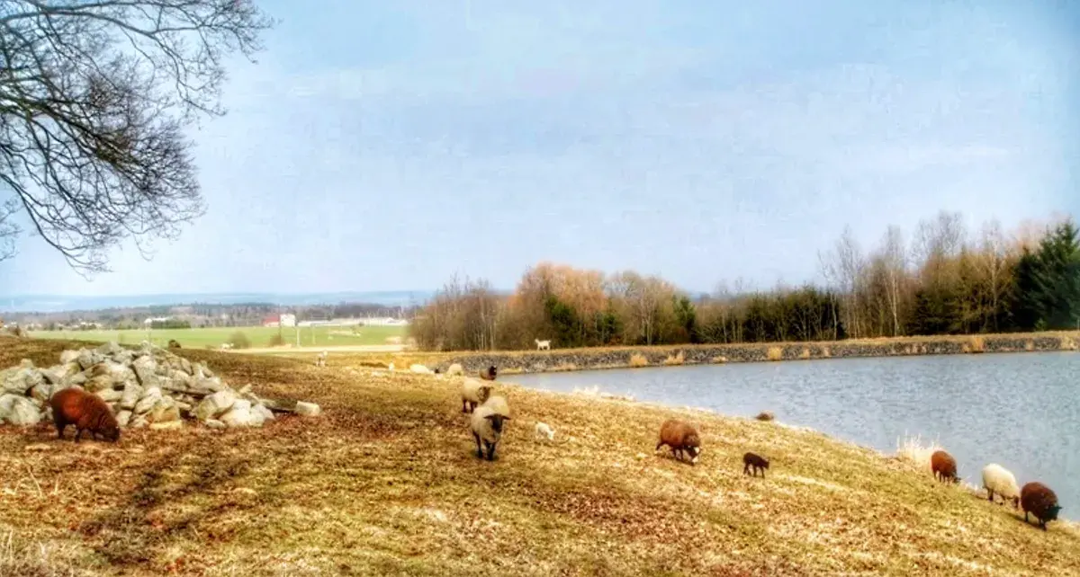 Velikonoční běhání vnitřními krajinami srdce a duše člověka