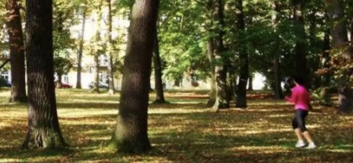 Diety a hubnutí, jak se to rýmuje