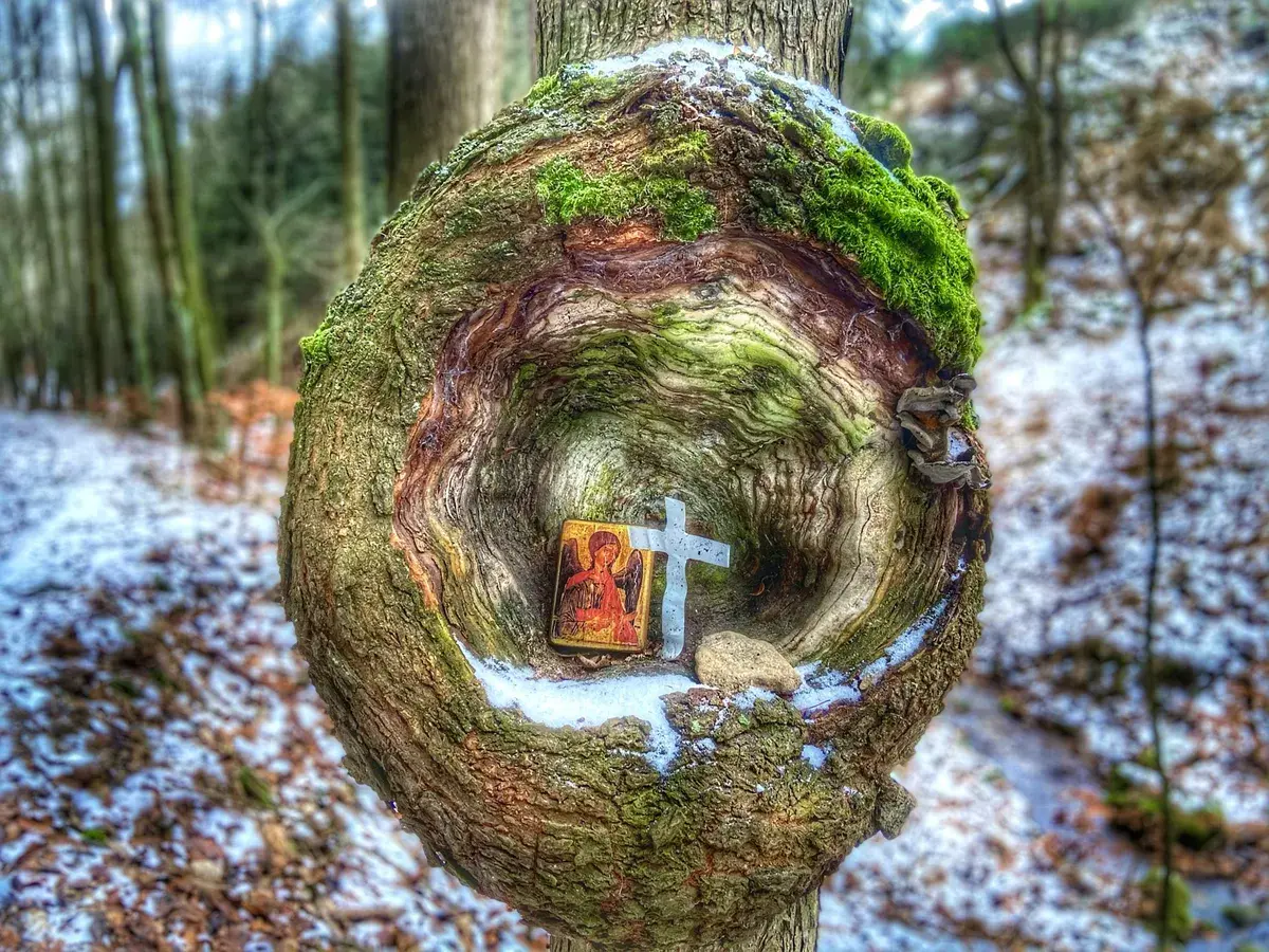 Zkušenost je palivem budoucnosti