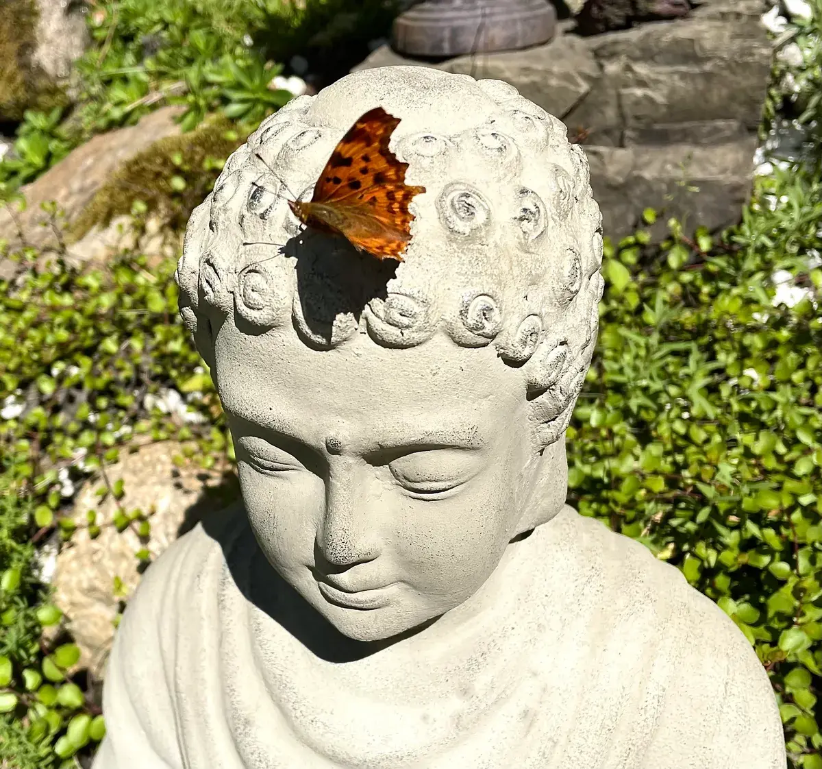 Jak jsem potkal ZEN