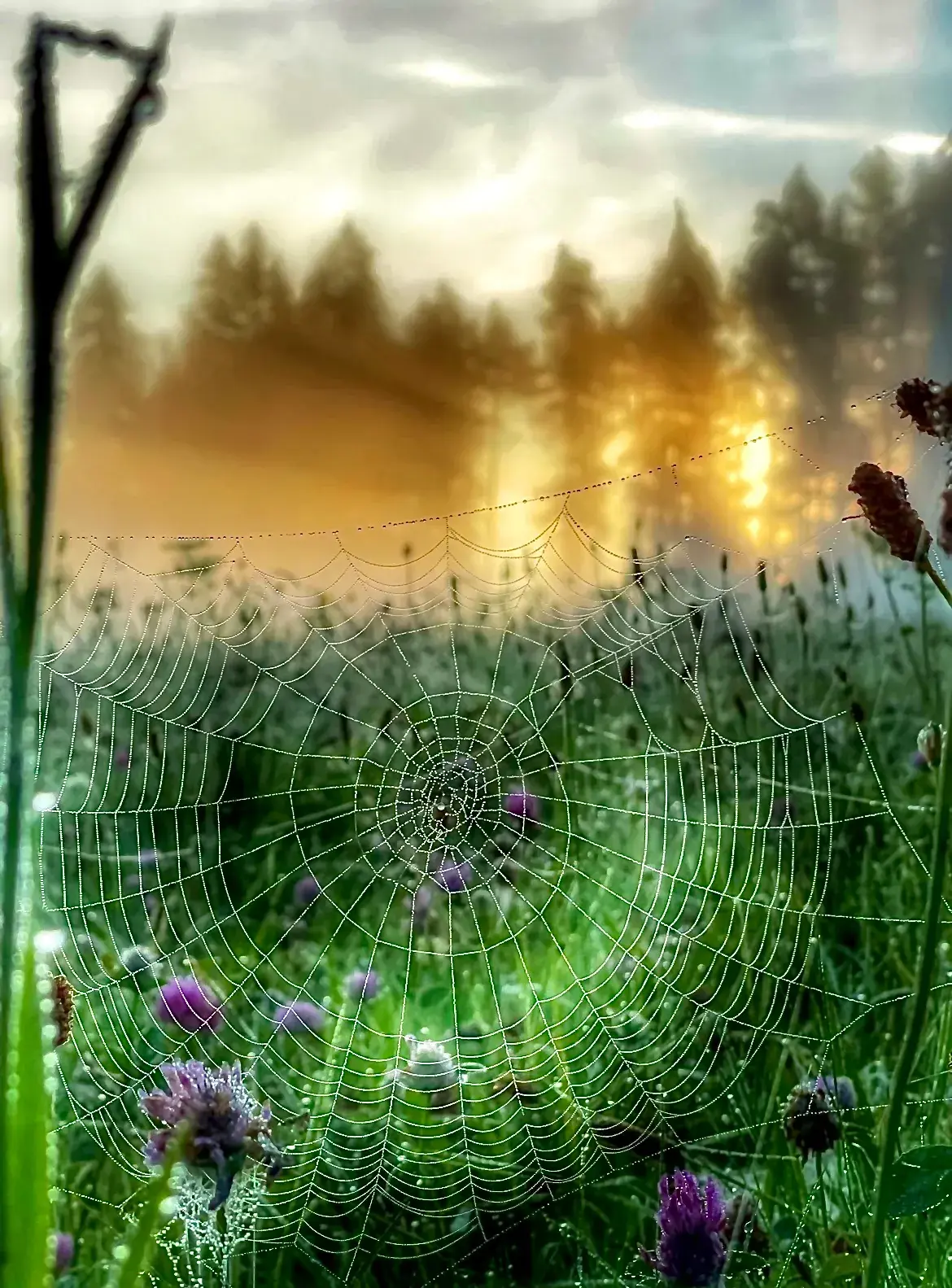 V pavučinách života. Žít každý den, jako by byl posledním, to je to oč běží