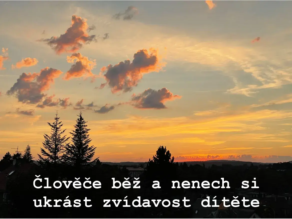 Připravit na život neznamená převychovat člověka k obrazu svému