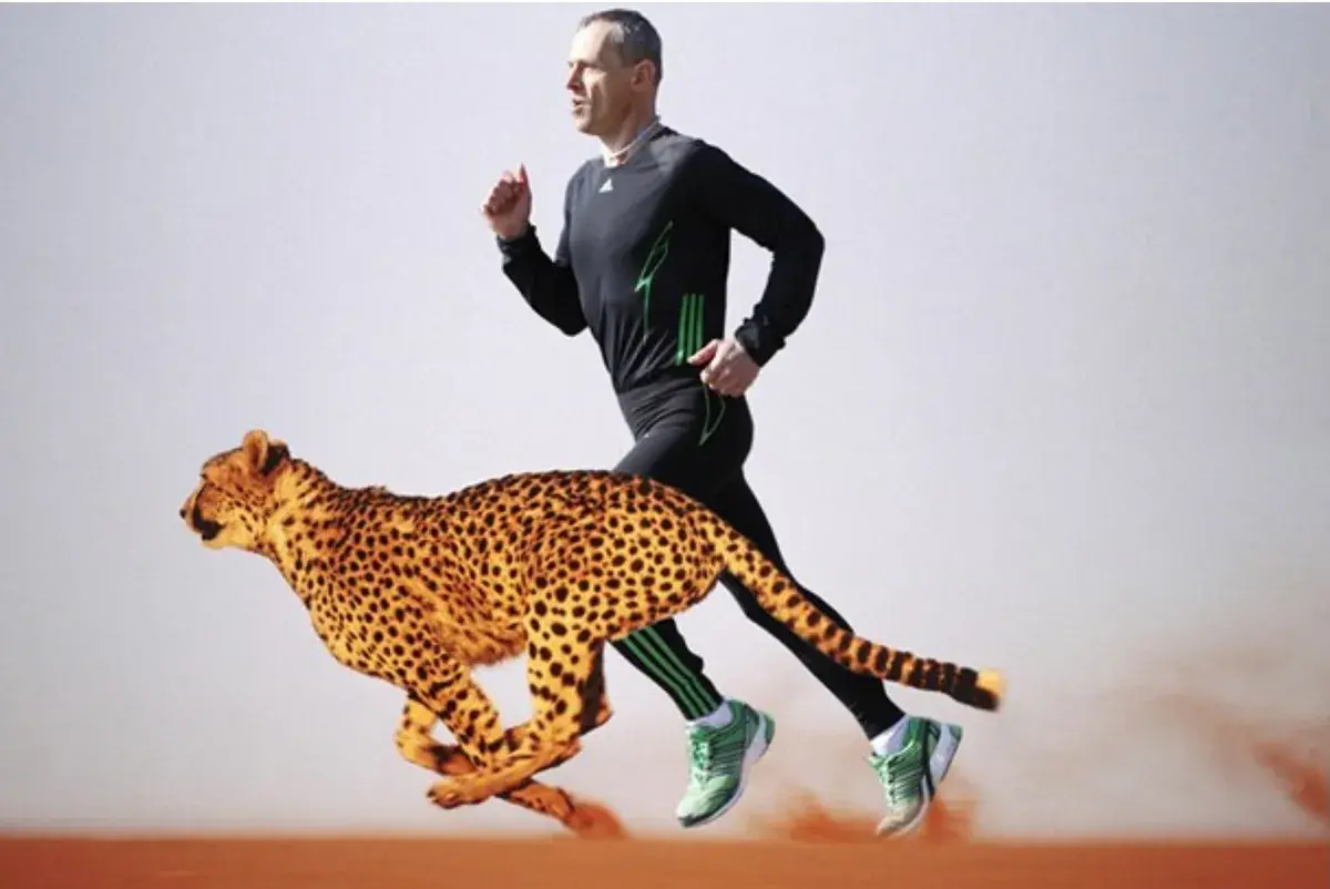 Života běh bez běhu