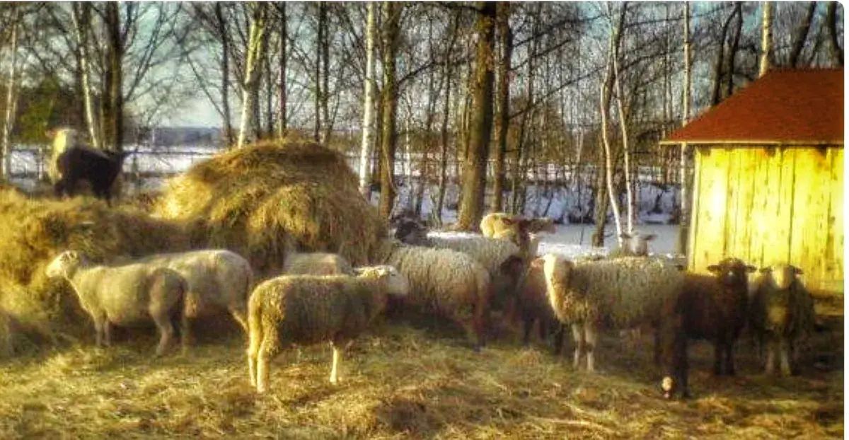 Běhání, přátelé a Velikonoce