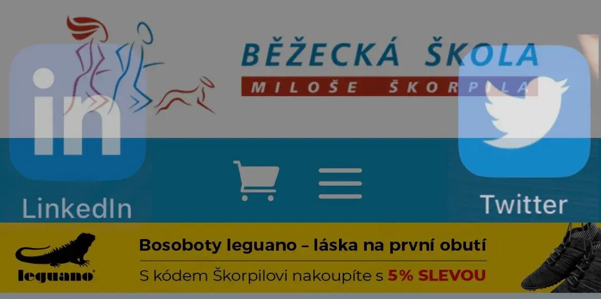 Přátelé jsou ti, kteří zaznamenají, když zmizíte ze světa