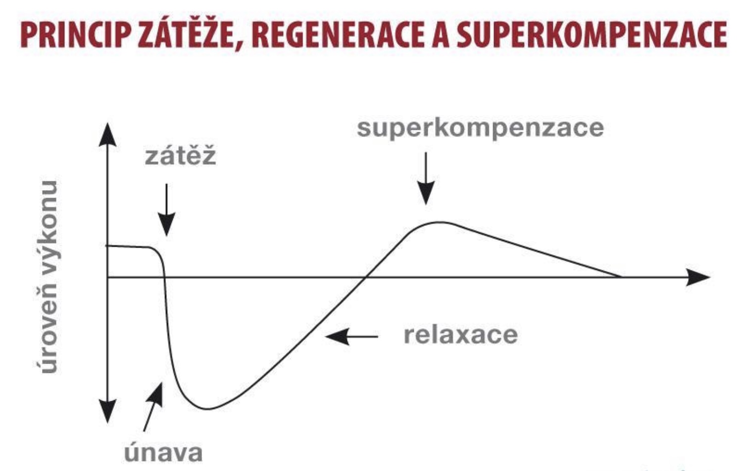 Kouzelné slovo superkompenzace - princip zátěže, regenerace a superkompenzace