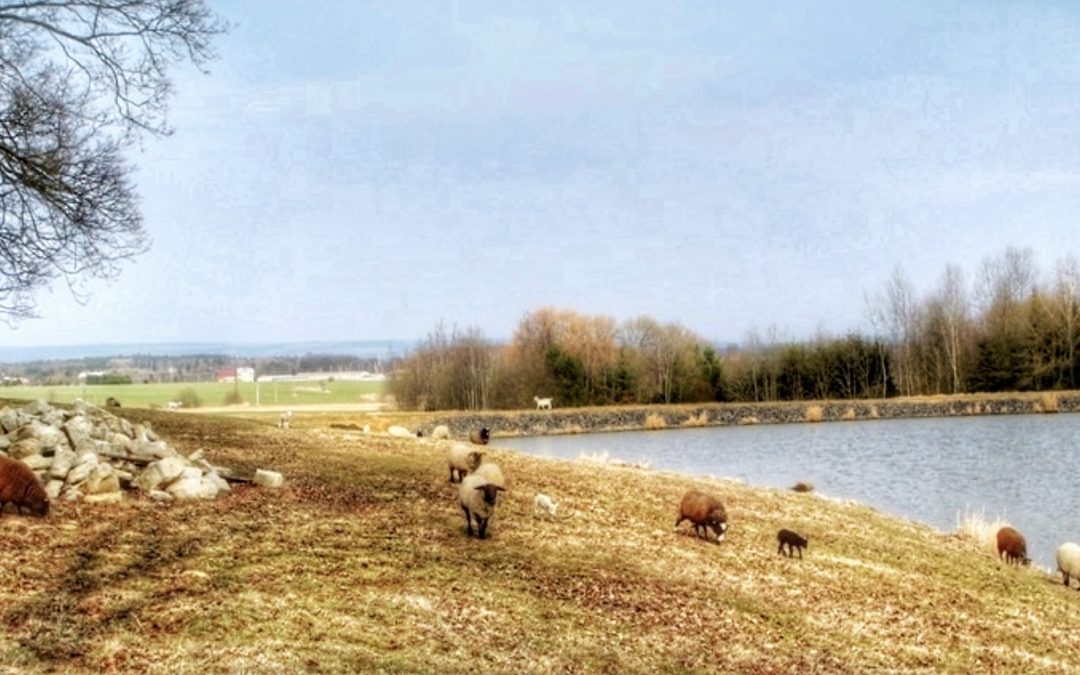 Velikonoční běhání vnitřními krajinami srdce a duše člověka