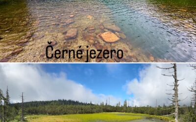 Bavorský les – Šumava, stěžovat si můžeme leda tak sami na sebe